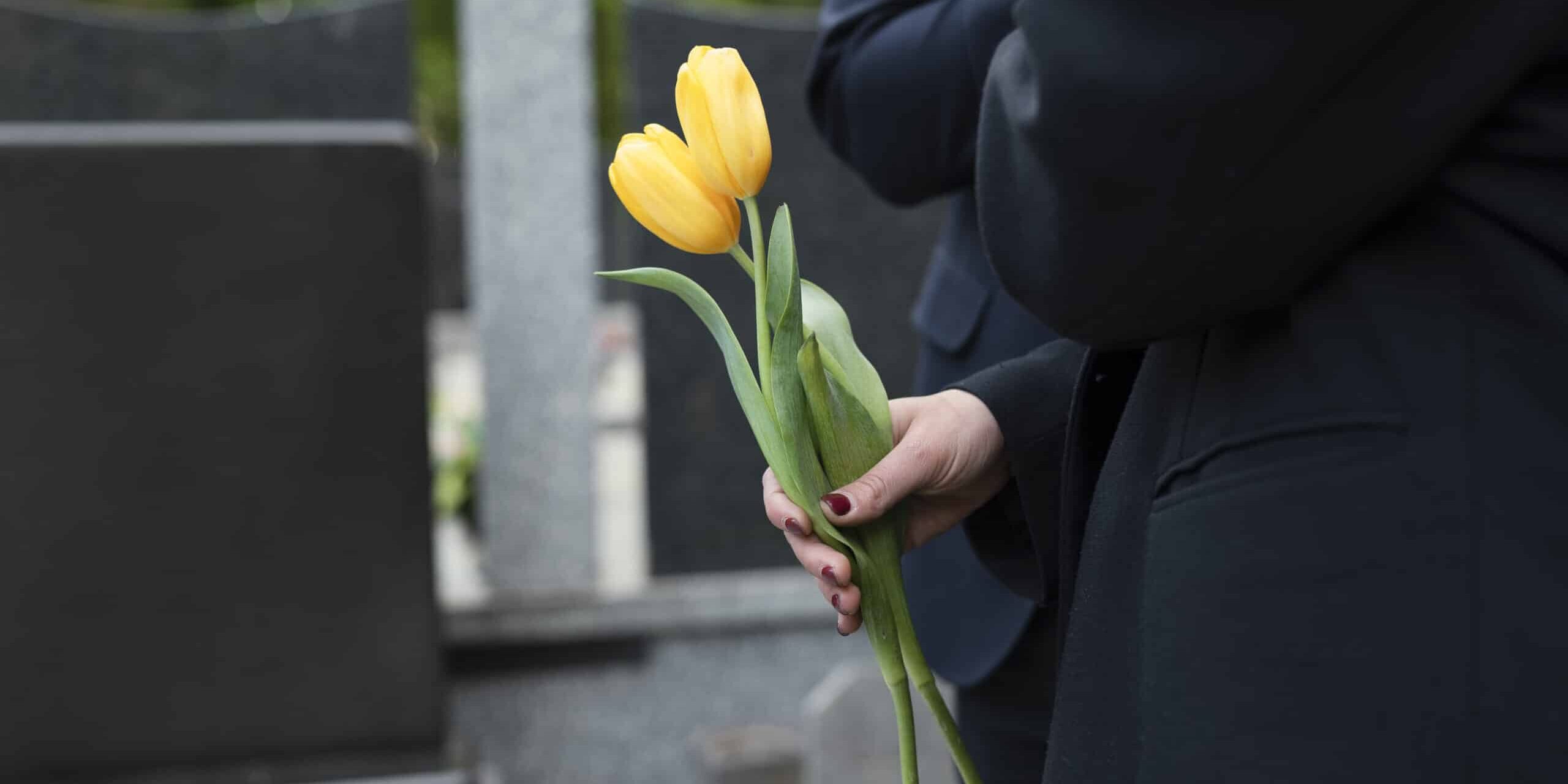 Beyond the Payout: 5 Often Overlooked Uses for Life Insurance Banner